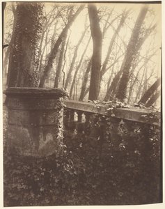 Park von Saint-Cloud, Paris