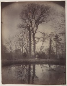 Der Park in Sceaux [April 1925, 7 Uhr morgens], 1925 von Eugène Atget