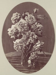 [Rosen], ca. 1875