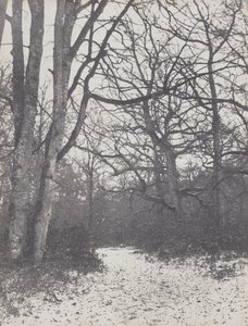 Straße im Wald, 1860-1863