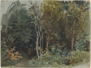 Der Rand eines Waldes bei Nohant, ca. 1842-1843