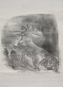 Das wilde Pferd von Eugène Delacroix