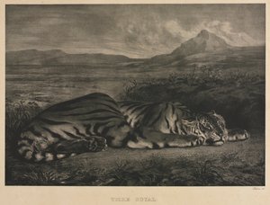 Königlicher Tiger von Eugène Delacroix