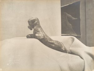 [Auguste Rodins Die geballte Hand], vor 1898 von Eugène Druet