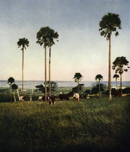 Australien, Illawarra (Foto) von European Photographer