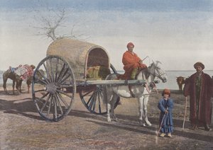 Bukhara-Wagen in Bewegung von European Photographer