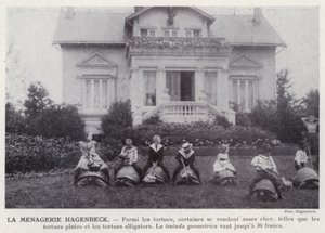 Der Hagenbeck-Zoo