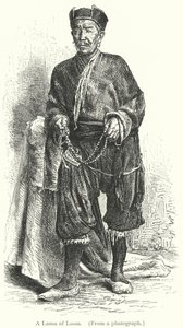 Ein Lama von Lassa (Gravur) von European School