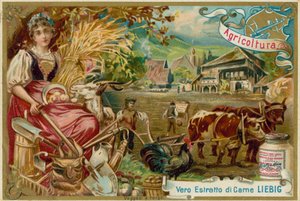 Landwirtschaft von European School