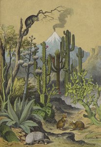 Tiere und Pflanzen von Mexiko