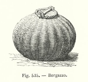 Borgazzo von European School
