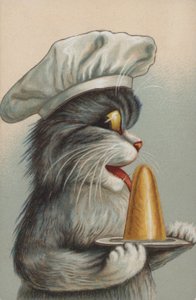 Katze mit einem Dessert von European School