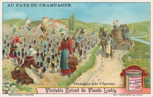 Champagner, Liebig-Karte, frühes 20. Jahrhundert von European School