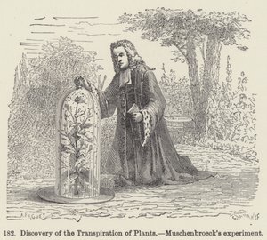 Entdeckung der Transpiration von Pflanzen, Muschenbroecks Experiment von European School