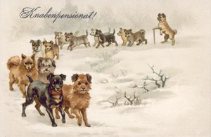 Hund Postkarte von European School