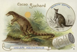 Dryptosaurus und Känguru