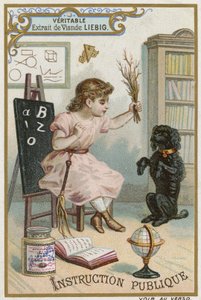 Bildung von European School