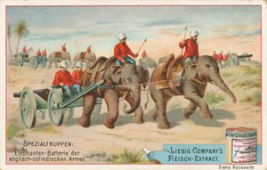 Englische Soldaten von Elefanten in Indien gezogen, Liebig-Karte, frühes 20. Jahrhundert von European School
