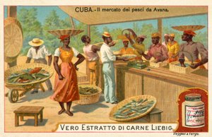Fischmarkt von Havanna, Kuba von European School