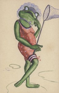 Frosch in Badeanzug mit Angelnetz
