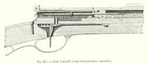 Nadelgewehr, halbnatürliche Größe (Stich)