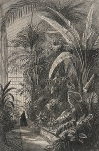 Grande Serre Du Museum De Paris von European School