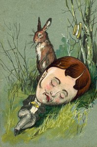 Hase neben einem schlafenden Mann auf dem Land