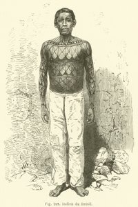 Inder aus Brasilien (Stich) von European School
