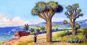 Joshuabäume, Kalifornien von European School