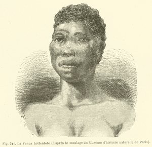 Die Venus Hottentotte (nach dem Abguss des Naturhistorischen Museums in Paris) von European School