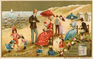 Leben am Meer von European School