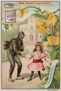 Mimose von European School