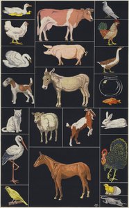 Seite aus einem Kinderbilderbuch, Tiere von European School