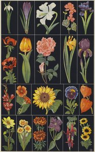 Seite aus einem Kinderbilderbuch, Blumen von European School