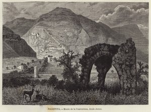 Palästina, Berg der Versuchung, von Jericho aus gesehen von European School