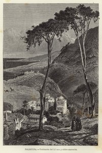 Palästina, Hänge des Libanon und maronitisches Dorf von European School