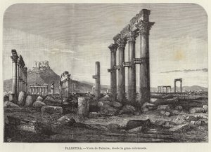 Palästina, Blick auf Palmyra von der großen Kolonnade aus von European School