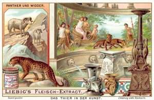 Panther und Widder
