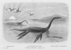 Pterodaktylen, Langhalsiger Seelurch, Plesiosaurus dolichodeirus, Länge 22 Fuß, Tintenfisch oder Belemnit (Lithografie)