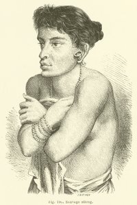 Wilder Stieng (Stich) von European School