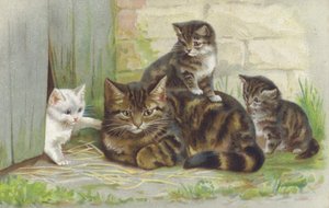Getigerte Katze mit drei Kätzchen von European School