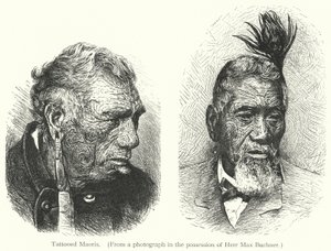 Tätowierte Maoris (Gravur) von European School
