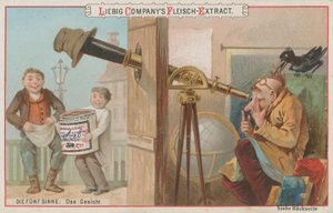 Die fünf Sinne: Sehen von European School