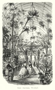 Die Blumenwelt von European School