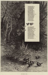 Das Morgenbad (Gravur) von European School