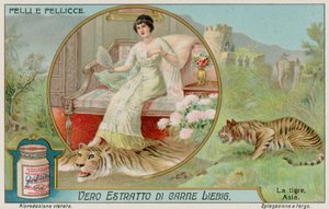 Der Tiger von European School