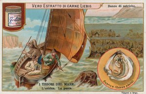 Schätze des Meeres, Liebig-Karte, frühes 20. Jahrhundert von European School