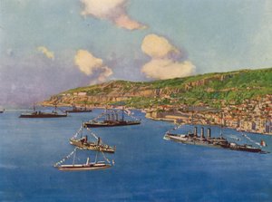 Villefranche, Die Reede und die Flotte