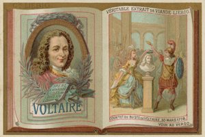 Voltaire von European School