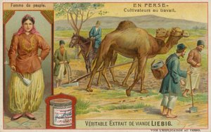 Frau und Bauern bei der Arbeit von European School